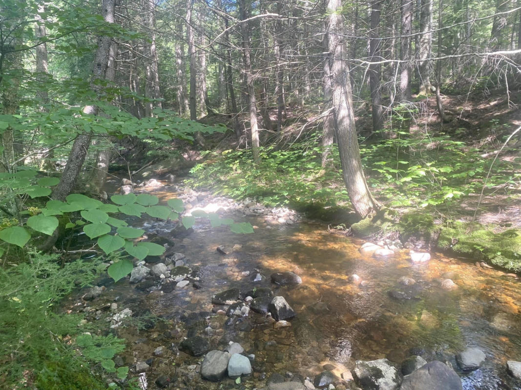 WILLIS BEAN ROAD, EATON, NH 03832, photo 1 of 40