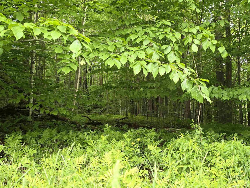 0 SUMNER ROAD # LOT 4, STAMFORD, VT 05352, photo 1 of 3