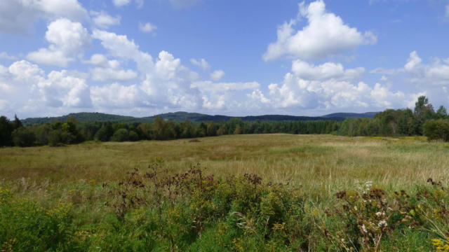 0 BUSHEY HILL, DERBY, VT 05829 - Image 1