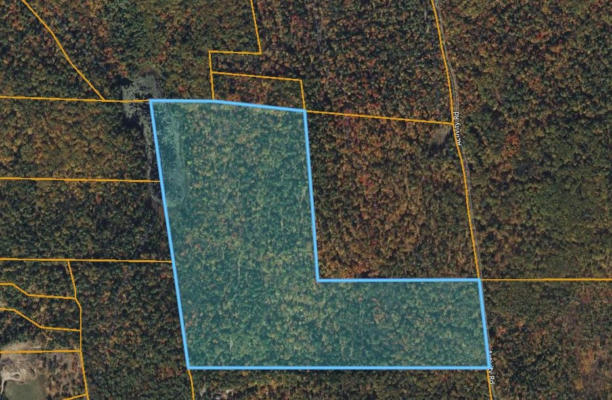 LOT 106 BLACKBERRY ROAD, RICHMOND, NH 03470 - Image 1