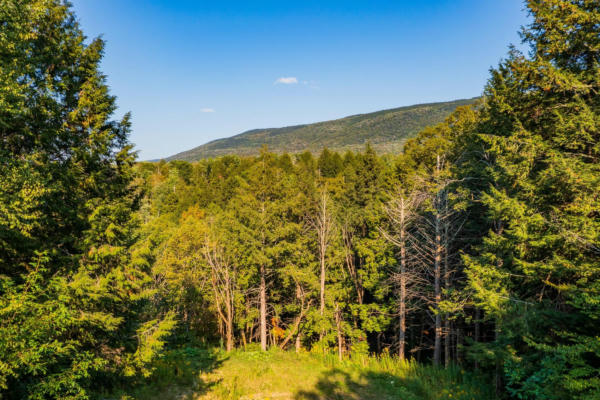 0 ALDEN LANE # LAND LOT #17, SUNDERLAND, VT 05250 - Image 1