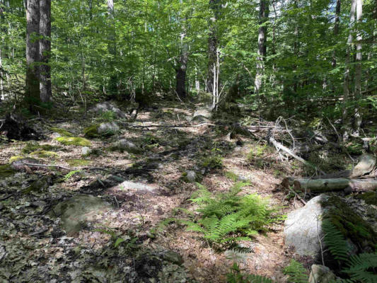 MAP 60 LOT 25 NELSON ROAD, HARRISVILLE, NH 03450 - Image 1