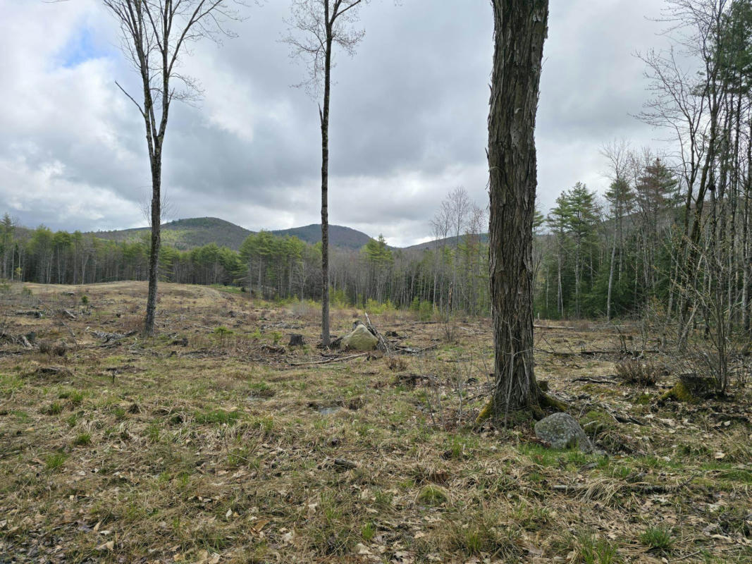 00 DUGWAY ROAD # LOT R09-001-00A, BROWNFIELD, ME 04010, photo 1 of 4