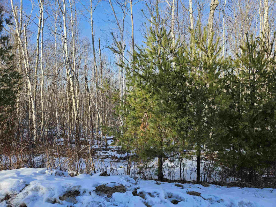 LOT 27.3 CANNON VIEW DRIVE, SUGAR HILL, NH 03586, photo 1 of 9