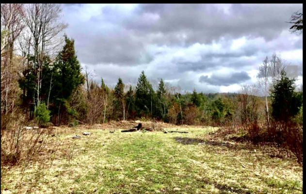 * ALDER PLAINS ROAD, BRADFORD, NH 03221 - Image 1