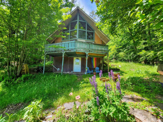 65 LAKESIDE DR, WOODSVILLE, NH 03785 - Image 1