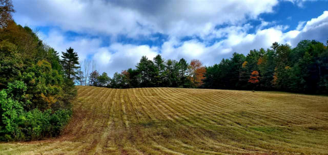 0 BEAVER MEADOW ROAD, NORWICH, VT 05055 - Image 1