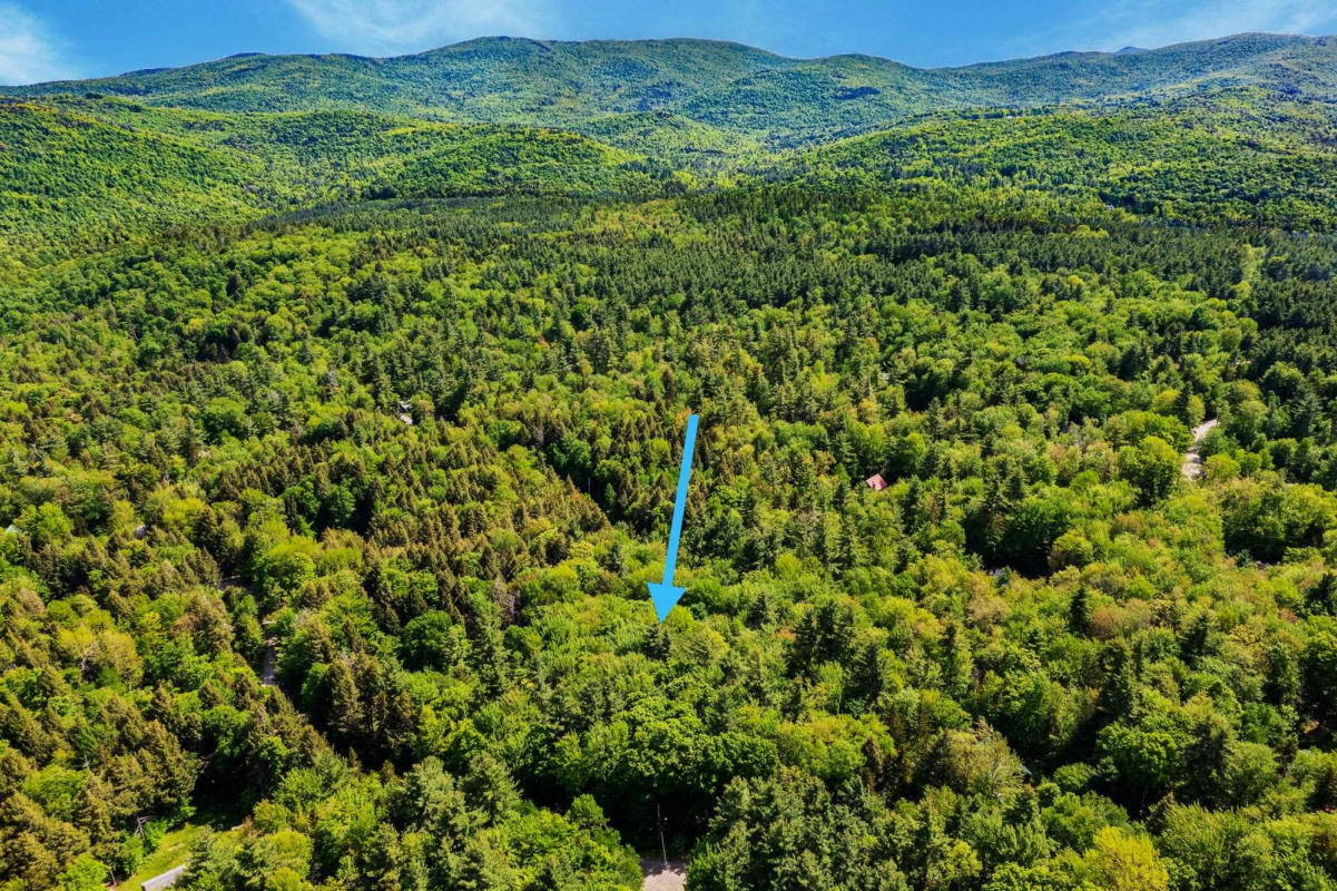 OAK HILL ROAD & MAPLE DRIVE, WARDSBORO, VT 05355, photo 1 of 20