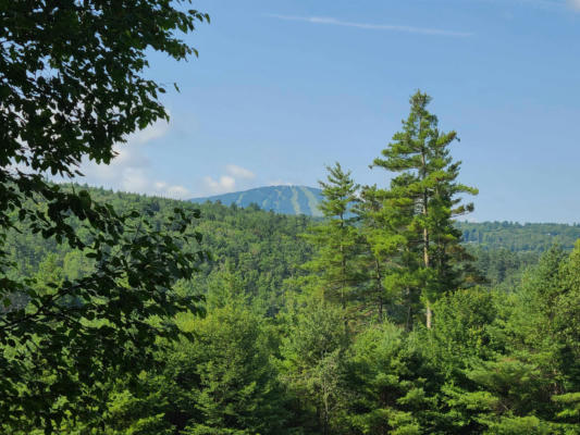 10 LITTLE YORK RD, WINHALL, VT 05340 - Image 1