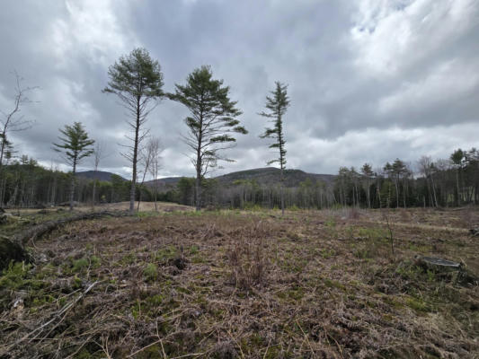 00 DUGWAY ROAD # LOT R09-001-00A, BROWNFIELD, ME 04010, photo 4 of 4
