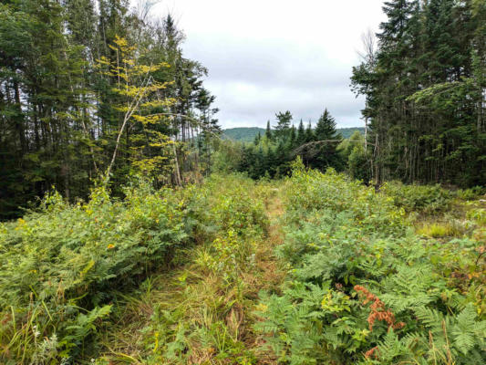 LOT 33 GOLDILOCKS LANE, PITTSBURG, NH 03592 - Image 1