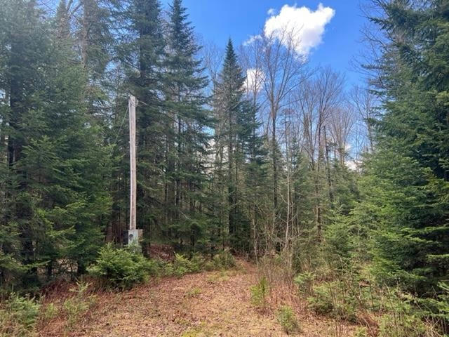 A5-49 TOWN LINE ROAD, STEWARTSTOWN, NH 03576, photo 1 of 13