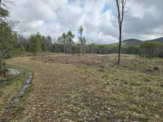 00 DUGWAY ROAD # LOT R09-001-00A, BROWNFIELD, ME 04010, photo 2 of 4