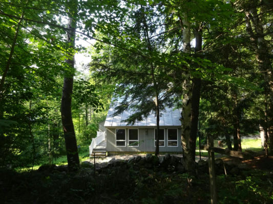 1087 SKI TOW RD, BROWNSVILLE, VT 05037 - Image 1