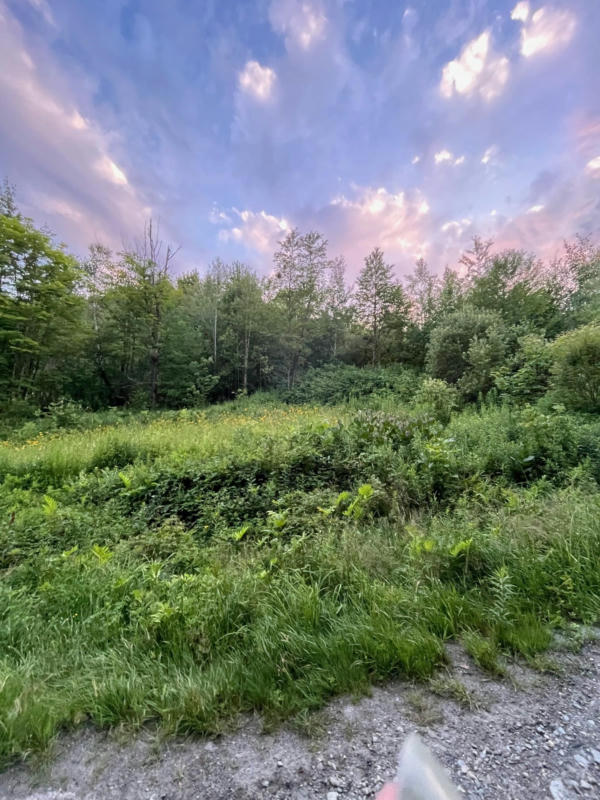 3 A & I WESTOVER ROAD, JAY, VT 05859, photo 1 of 19