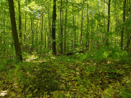 ATTLEBORO MOUNTAIN ROAD, RICHMOND, NH 03470 - Image 1