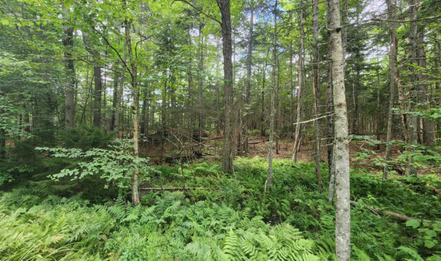 MAP 14 LOT 324 ADAMS DRIVE, WASHINGTON, NH 03280 - Image 1