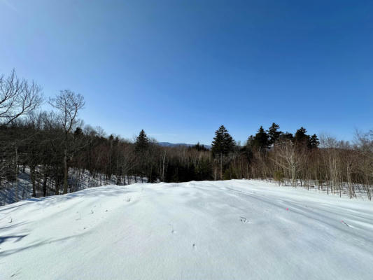 49 ANDOVER RIDGE RD, ANDOVER, VT 05143 - Image 1