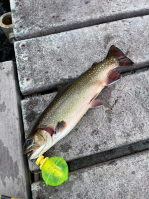 00 FISH POND ROAD, COLUMBIA, NH 03590, photo 4 of 17