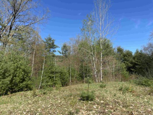 00 SIMONSVILLE ROAD # LOT 3, ANDOVER, VT 05143 - Image 1
