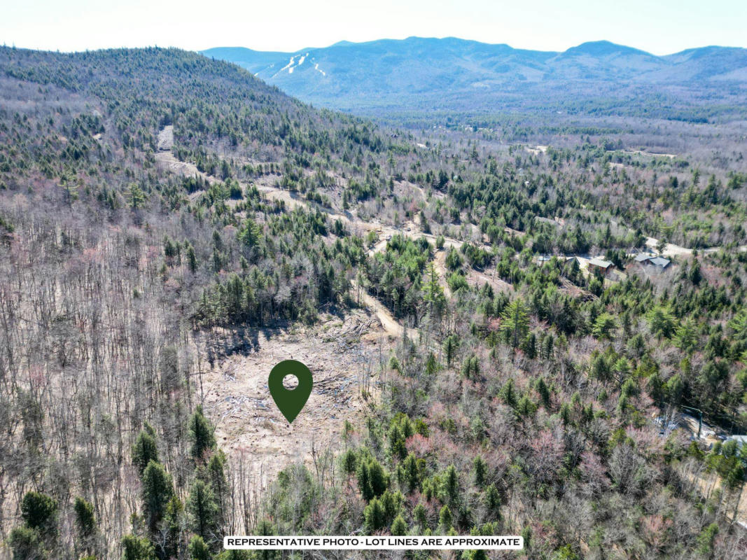 F6 CAVE MOUNTAIN ROAD # F6, BARTLETT, NH 03812, photo 1 of 11