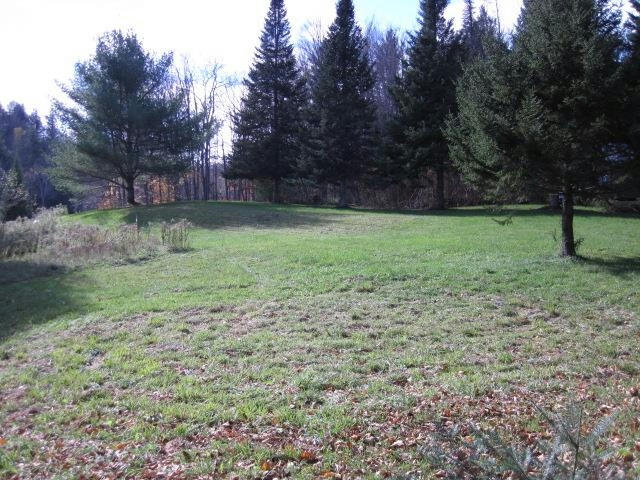 0 VT ROUTE 14 # LOT A, WOODBURY, VT 05681, photo 1 of 17