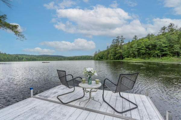 310 WILD GOOSE POND ROAD, PITTSFIELD, NH 03263 - Image 1